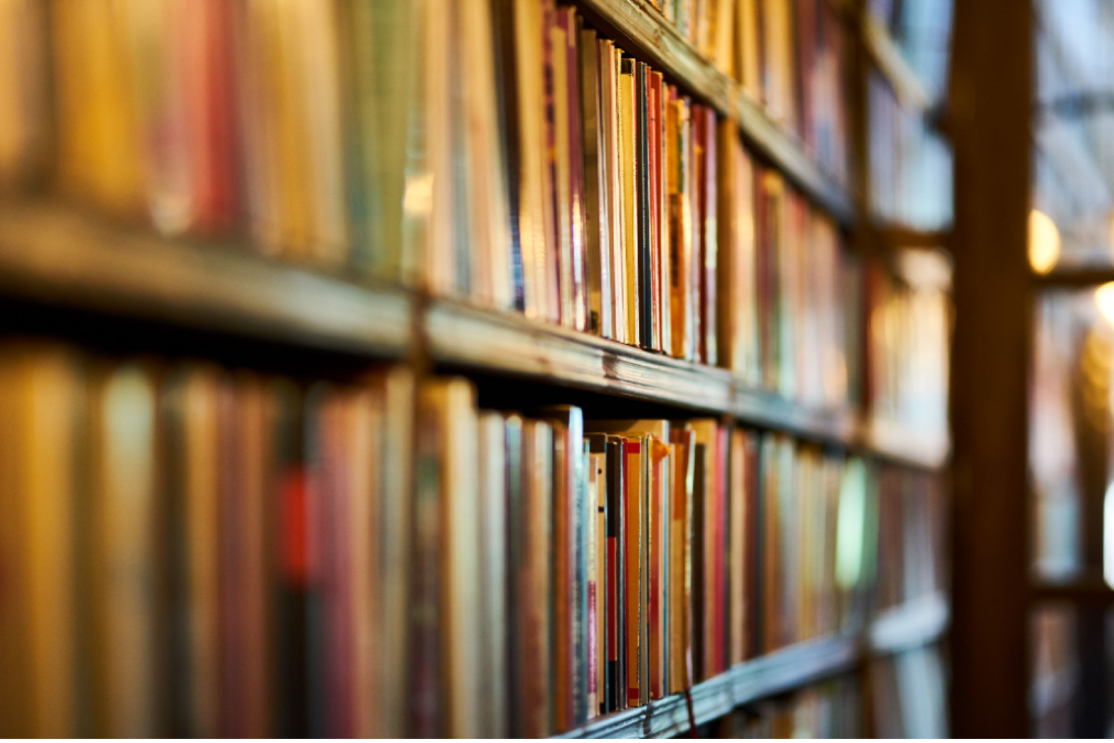 Books on a wooden bookshelf.