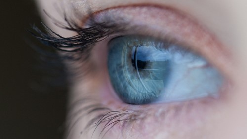 Close up of a human eye.